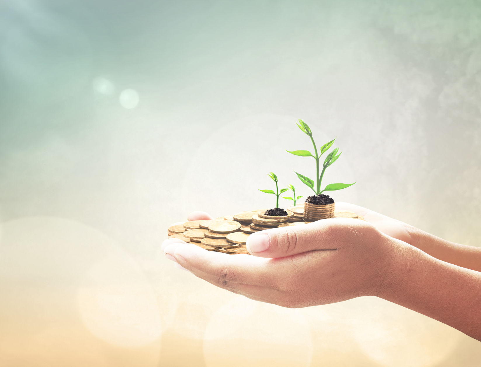 Investment concept: Entrepreneur hand holding golden coins and small trees over blurred nature background